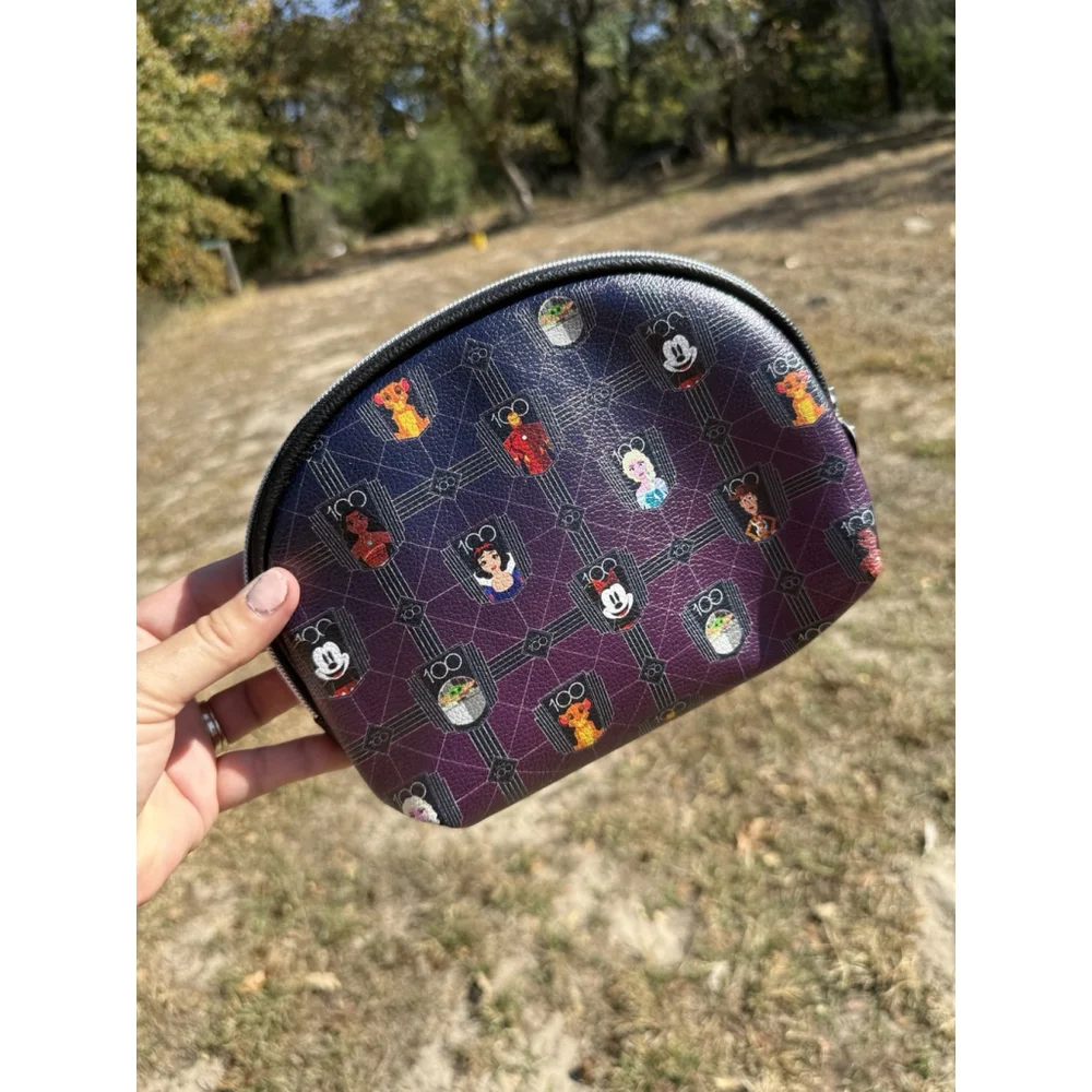 Disney 100 Years of Wonder Anniversary Cosmetic Bag READ